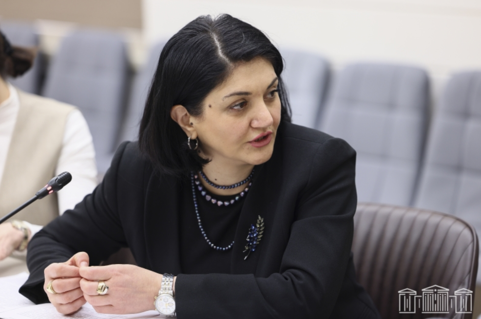 Քննարկվել է բուժառուների իրավունքների պաշտպանությանը վերաբերող կոնվենցիան վավերացնելու հարցը