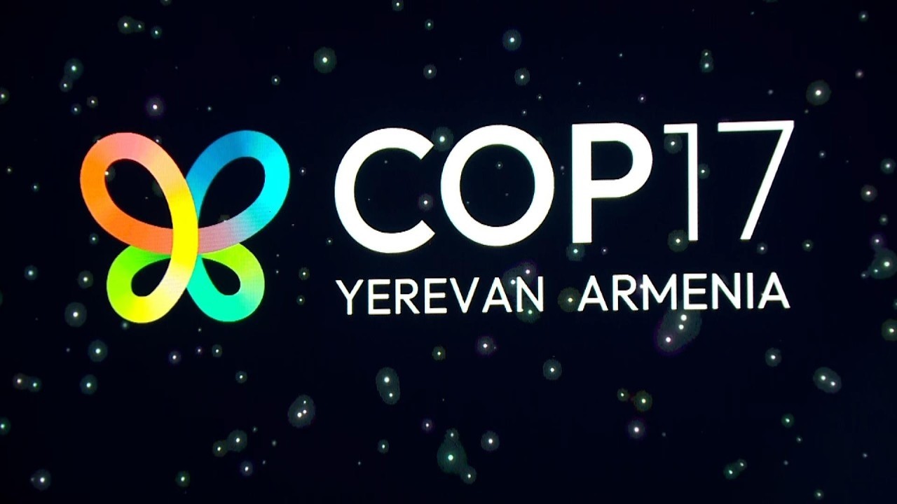 COP17. պաշտոնական բացման համերգային ծրագիր
