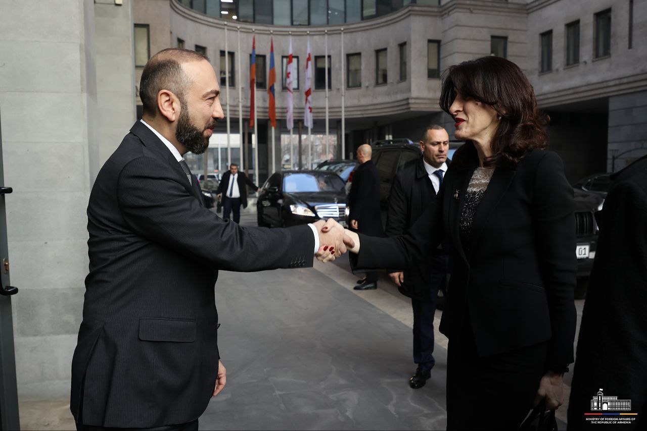 Մեկնարկել է Արարատ Միրզոյանի առանձնազրույցը Վրաստանի ԱԳ նախարարի հետ