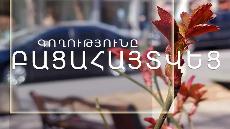 Գողություն մաքսատան տարածքից․ ոստիկանների բացահայտումը