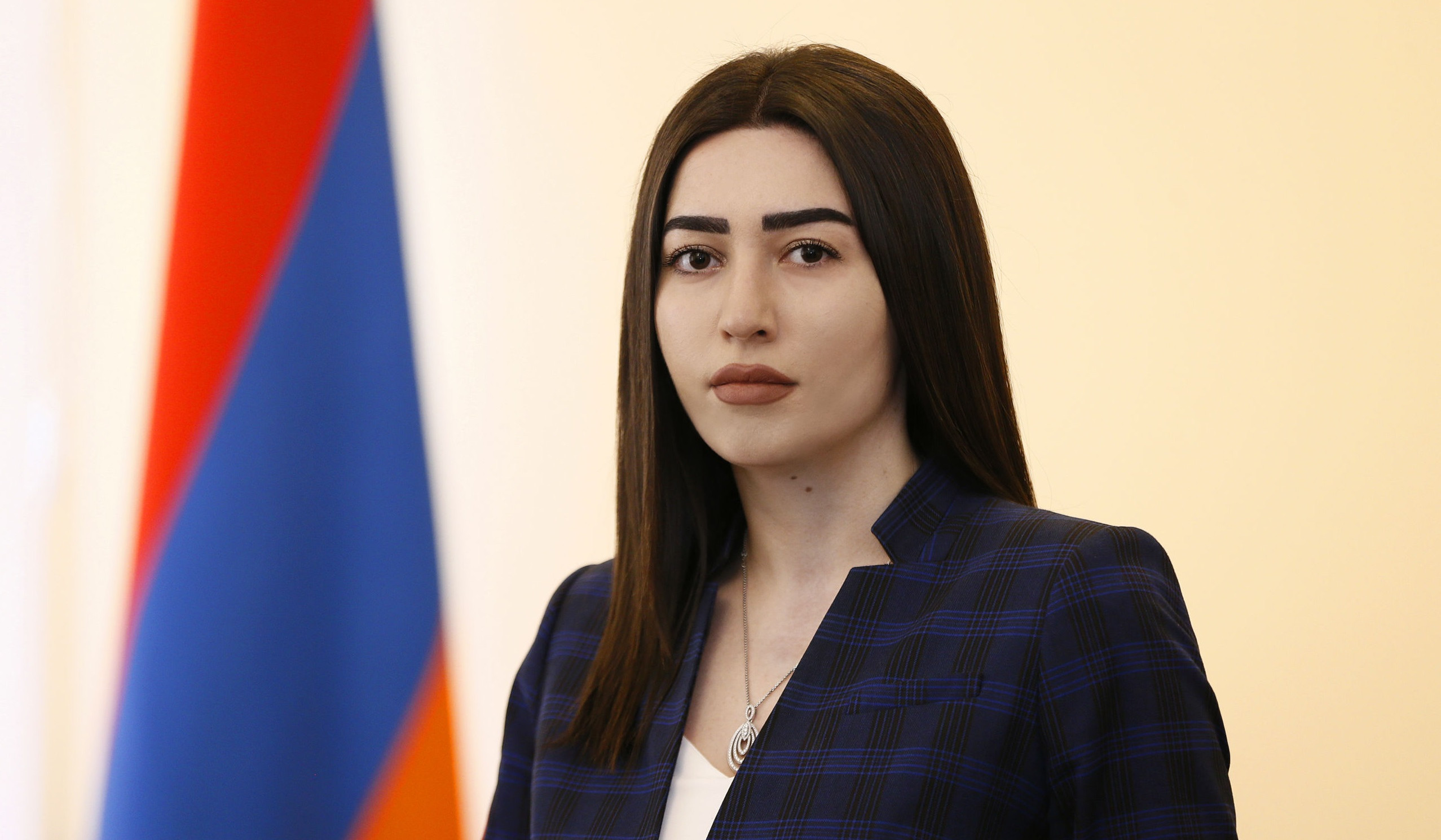 Պետք է շարունակենք կատարելագործել հանցավորության կանխարգելման բաղադրիչը, այստեղ դեռ աշխատանքի դաշտ կա․ ՆԳ նախարար