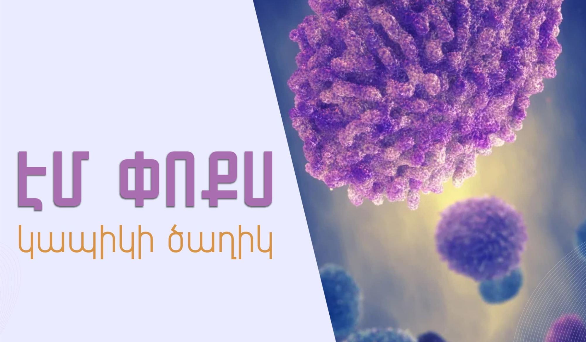 Հայաստանում «Կապիկի ծաղիկ» հիվանդության դեպք չի գրանցվել. ԱՆ