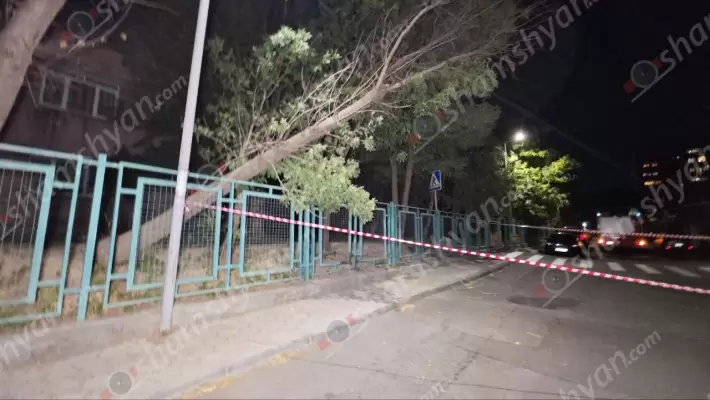 Դավթաշենի թիվ 60 մանկապարտեզի տարածքում արմատից չորացած ծառը կոտրվել է և գետնին չի տապալվել՝ շնորհիվ էլեկտրալարերի