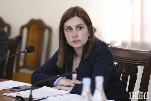 Ունենք փոքր բռնկում, որը պետք է ճիշտ ձևով զսպենք. Ավանեսյանը՝ հանրապետությունում կարմրուկով պայմանավորված իրավիճակի մասին
