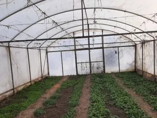 Կոտայքի մարզում կհիմնվի 5-րդ սերնդի ապակե ջերմատուն