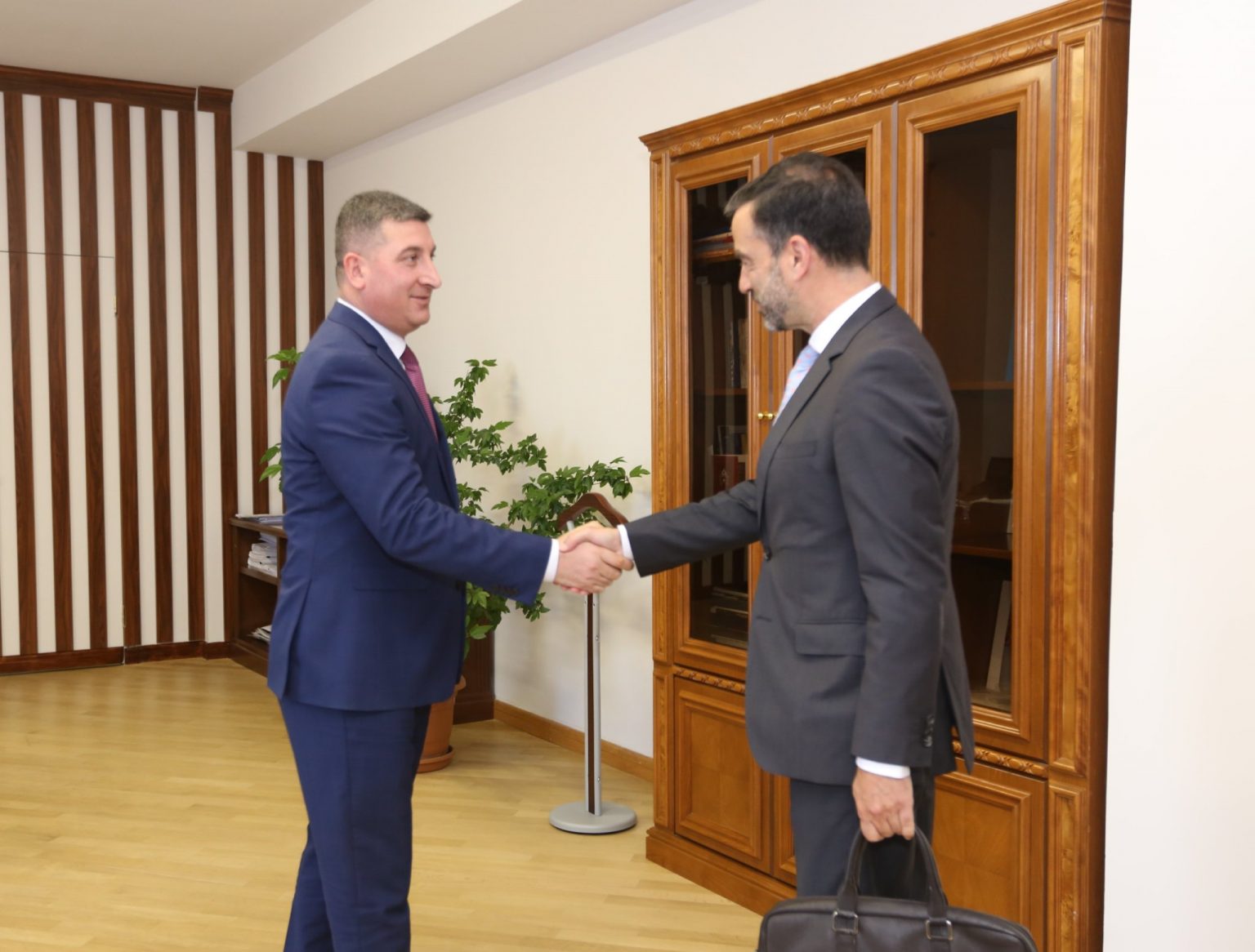 Գնել Սանոսյանն ընդունել է Եվրոպայի խորհրդի Կոնգրեսի տնօրենին