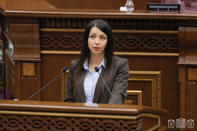 Քննարկվել է ՀՀ քրեական օրենսգրքում առաջարկվող լրացումը