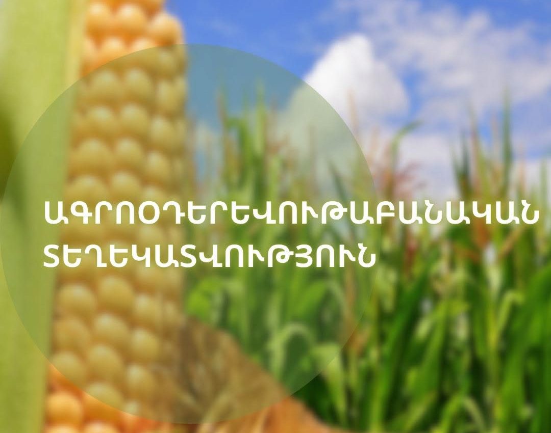 Ներկայացվել է սեպտեմբերի 14-21-ի ագրոօդերևութաբանական տեղեկատվությունը
