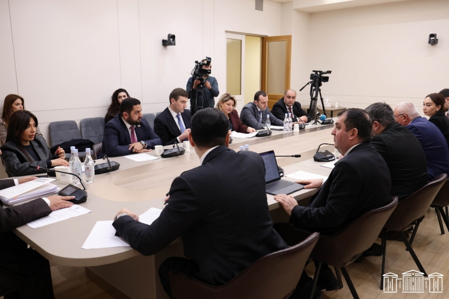 «Մի րոպե, ձեռքով, ոտքով մի խոսեք»․ վեճ ԱԺ-ում՝ հանձնաժողովի նիստի ընթացքում