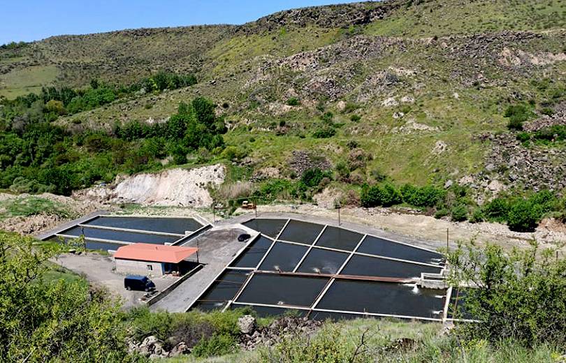 Տեսչական մարմինը Պտղնի համայնքում հայտնաբերել է ապօրինի ձնաբուծական լճեր