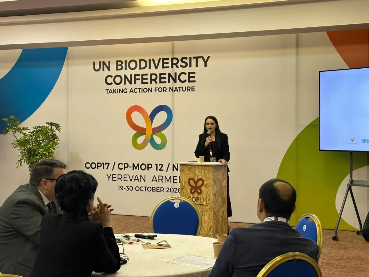 Պետությունը պետք է երաշխավորի մաքուր, առողջ և կայուն շրջակա միջավայրում ապրելու իրավունքի պաշտպանությամբ զբաղվող անձանց իրավունքների պաշտպանությունը