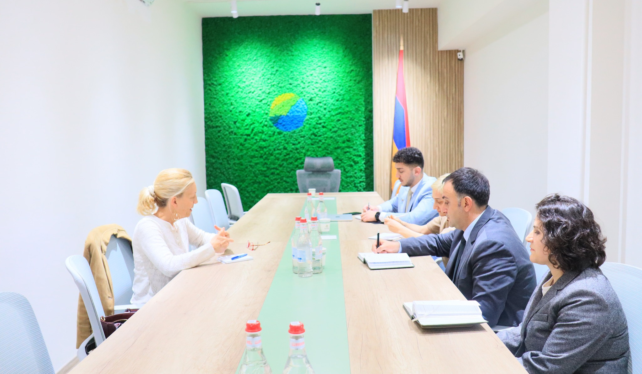 Շրջակա միջավայրի փոխնախարարը ՀՀ-ում ՄԱԿ-ի մշտական համակարգողի հետ քննարկել է COP17-ի կազմակերպմանն առնչվող հարցեր