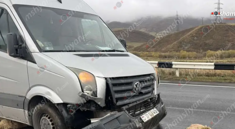Սևանում «Volkswagen»-ը վրшերթի է ենթարկել 18 ոչխարի. բոլորը սшտկել են