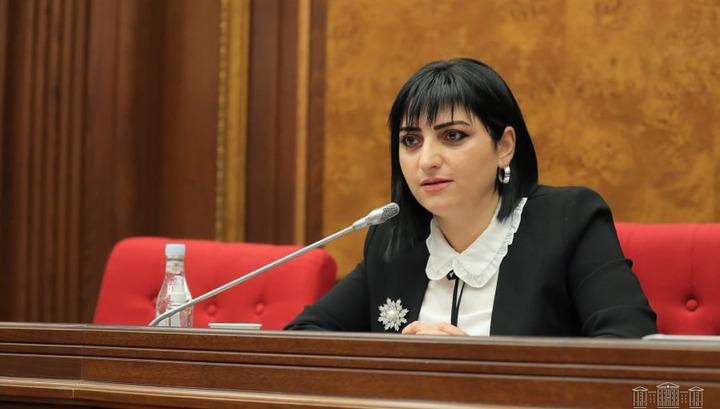 Ձևավորում ենք «Արցախ» նախաձեռնությունը․ ԱԺ պատգամավոր