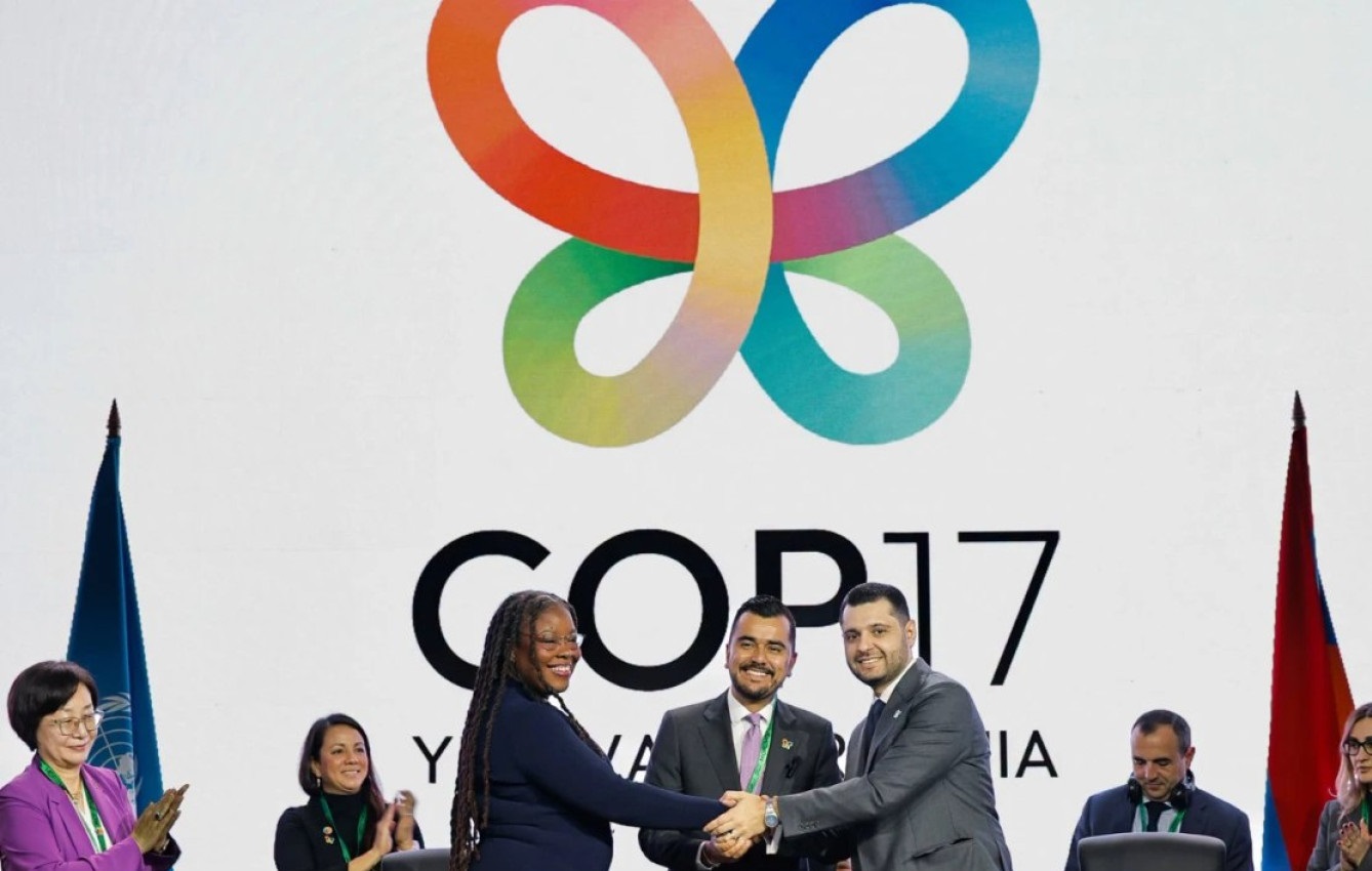 Համբարձում Մաթևոսյանն ընտրվել է COP17-ի նախագահ
