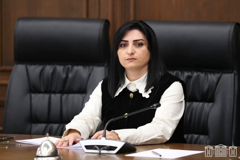 Կիրառե՛ք պատժամիջոցներ. Թագուհի Թովմասյանը հրատապ գրություններ է ուղարկել միջազգային գործընկերներին