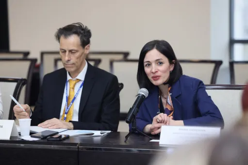 Ակադեմիական քաղաքում կարող են լինել նաև միջազգային բուհերը. ԿԳՄՍ նախարարը՝ DAAD-ի ներկայացուցիչներին