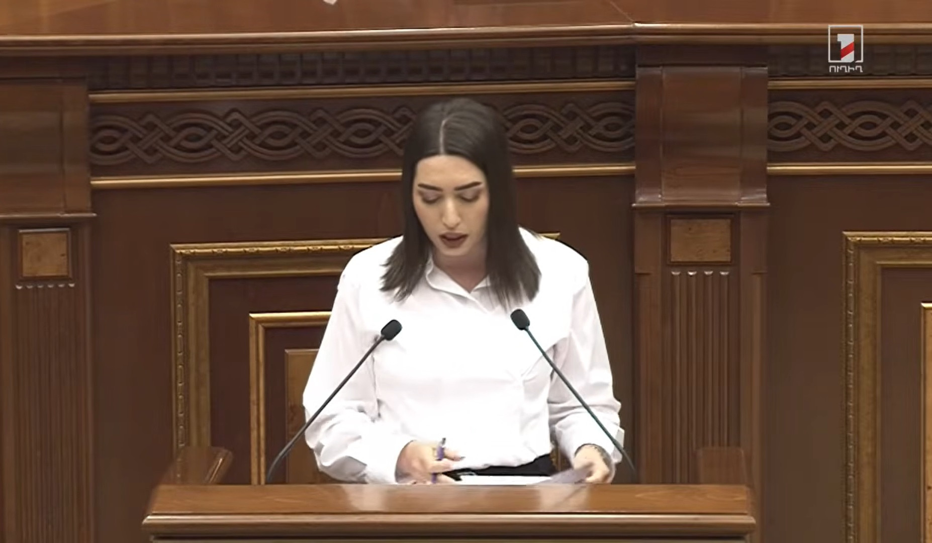 Կառավարությունն առաջարկում է ներդնել տեսակապի համակարգ դատավարության և քրեակատարողական փուլերում