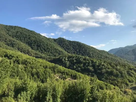 Լատվիա արտահանված թեյը հայկական ծագման չէ. ՍԱՏՄ