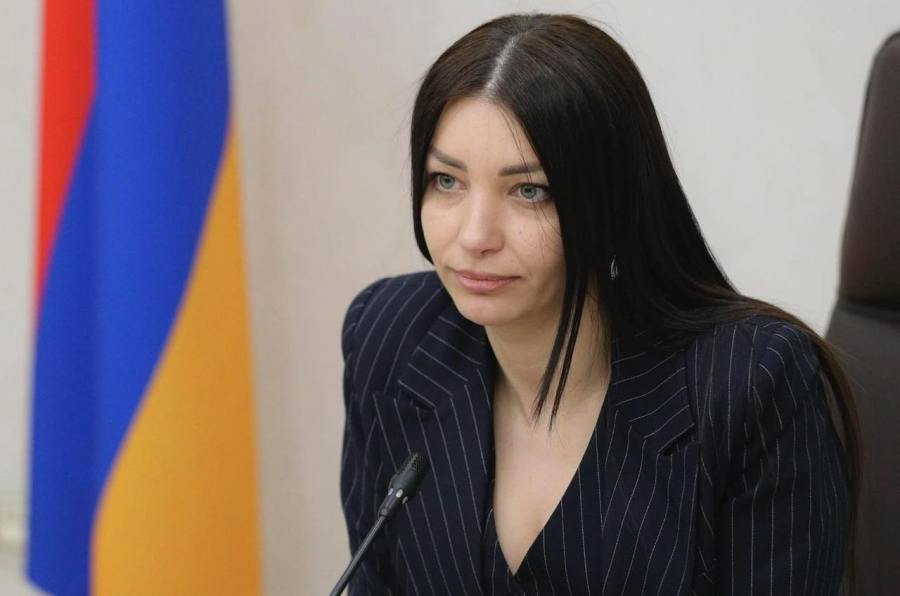 «Մուլտի Վելնես կենտրոնի» տարածքն ապօրինություններով էր վերցվել. Հասմիկ Հակոբյան