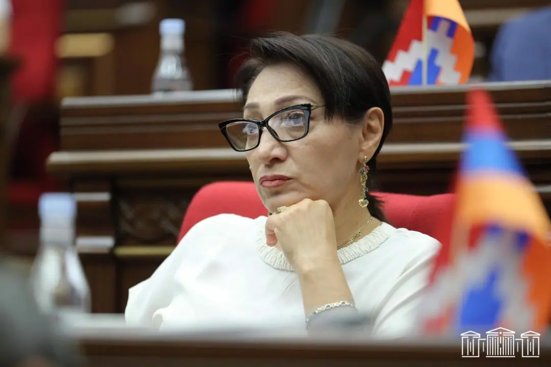 Դիմել ենք ՍԴ՝ վիճարկելու «Բարձրագույն կրթության և գիտության մասին» օրենքը. Գալստյան