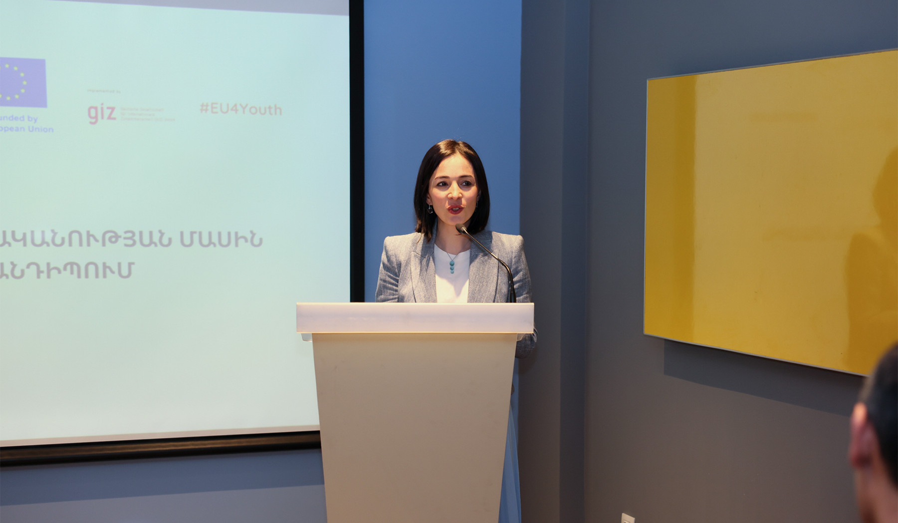 Անդրեասյանը հանդիպել է երիտասարդական հասարակական կազմակերպությունների և երիտասարդական կենտրոնների ներկայացուցիչների հետ