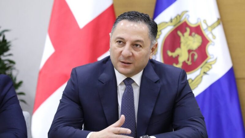 Վրաստանի ներքին գործերի նախարարը հրաժարական է տվել