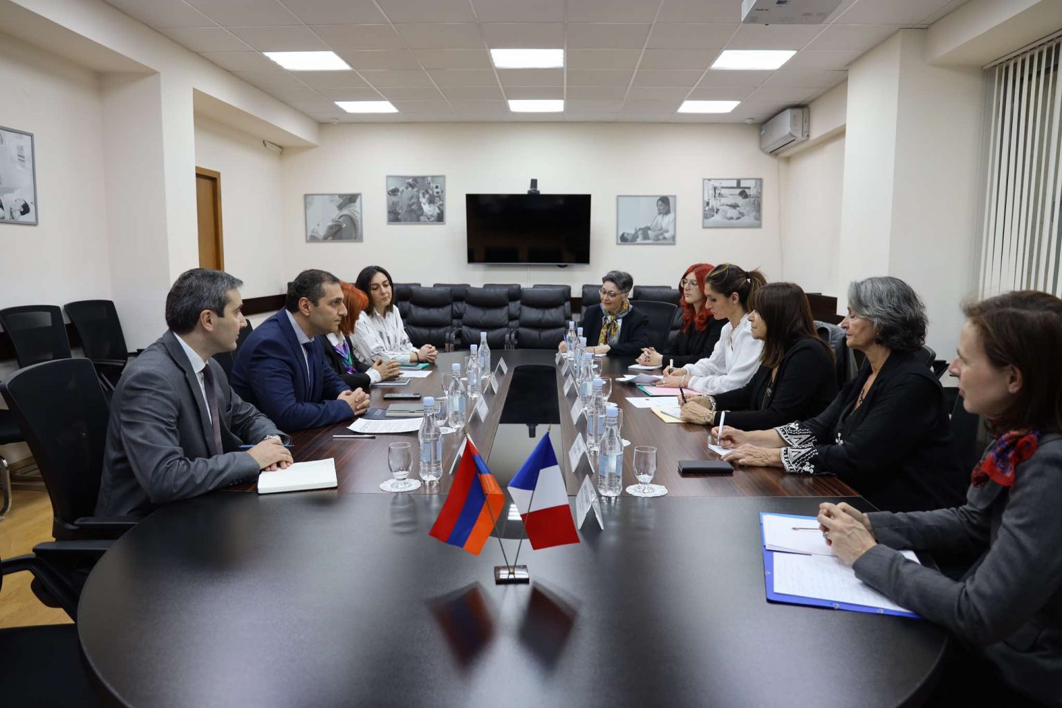 Քննարկվել են Հայաստանում մայրական և վերարտադրողական առողջությանը, հանրային առողջապահությանը վերաբերող թեմաներ