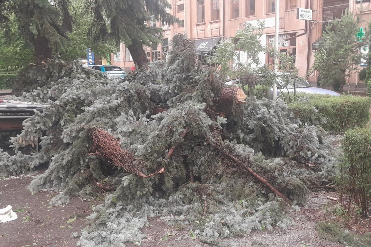 Շիրակում քամու ու կարկուտի վնասները գույքագրելու նպատակով մարզի բոլոր համայնքներում ստեղծվել են տեղային հանձնաժողովներ