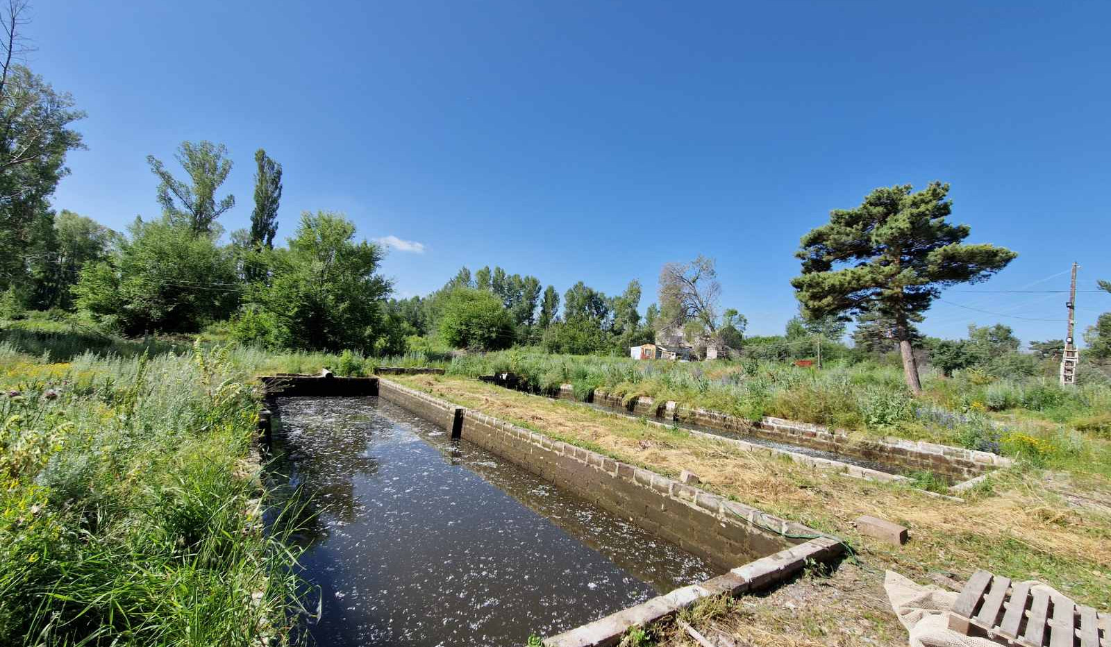 Ապօրինի ջրօգտագործմամբ ձկնաբուծություն Գեղարքունիքում