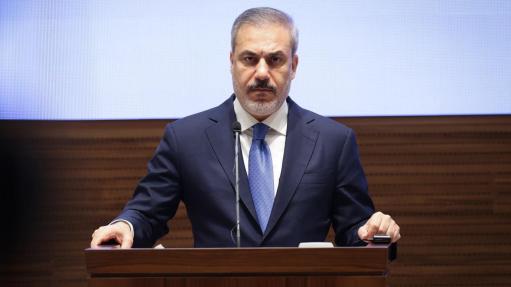 Պետք է համատեղ ջանքեր գործադրել, որ Գազայում աճող լարվածությունը չվերածվի տարածաշրջանային ճգնաժամի.Ֆիդան 