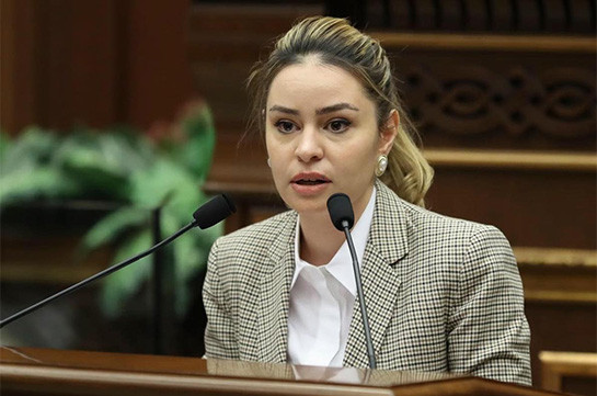 Ո՞ւմ եք ուղղում այդ միլիարդները. Սոնա Ղազարյանը «ավտորիտար Ադրբեջանի» հարցով դիմեց միջազգային գործընկերներին