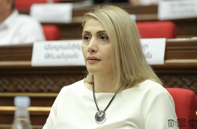 ԲՀԿ-ին խորհրդարան մտնելու համար պետք է 50-60 ձայն. Էլինար Վարդանյան