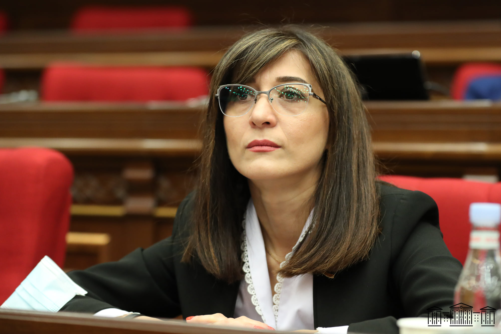 Ցավում եմ, որ մեր եղբայրները գնացել են ծառայության մի բանակում, որի նախարարը եղել է Սեյրան Օհանյանը. Արփի Դավոյան