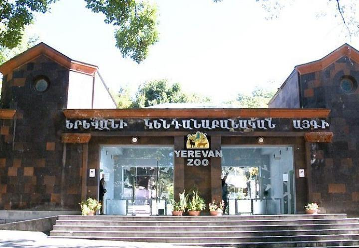 Երևանի կենդանաբանական այգում գրանցվել է կենդանու անկման հերթական դեպքը