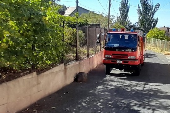 Վարդաձոր գյուղում հրդեհ է բռնկվել