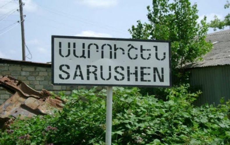 Սարուշենում սկսվել է թթի բերքահավաքը. արդյունքները գոհացուցիչ են