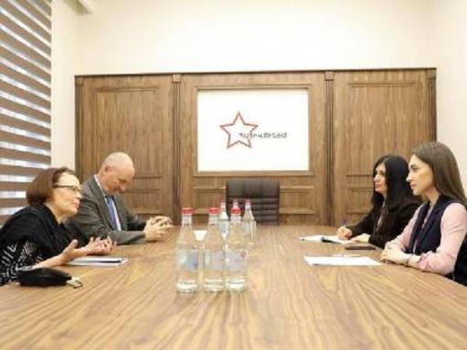 Աննա Մկրտչյանը դեսպանին է ներկայացրել մարդու իրավունքների ոլորտում արձանագրած նահանջը