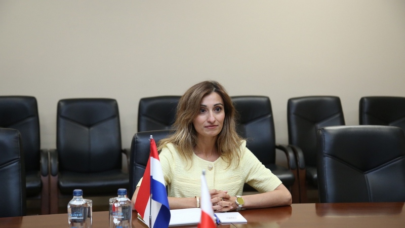 Վրաստանում Նիդեռլանդների նոր դեսպան է նշանակվել հայազգի Մելինե Առաքելյանը