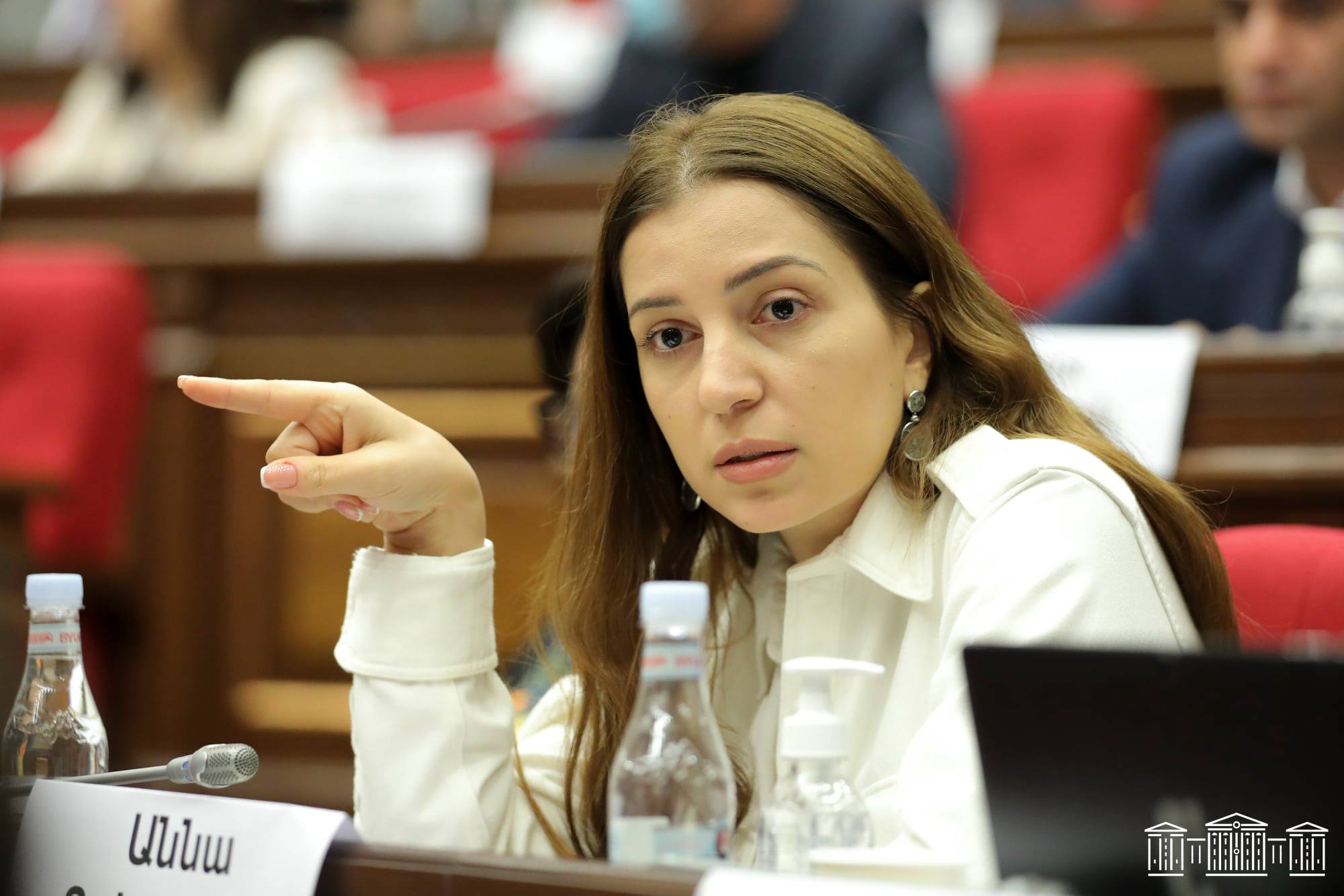 «ՀԷՑ-ի խլման գործընթացը ինչո՞ւ հրատապ պետք է քննարկենք», «ՀԷՑ և խլել բառերը չկան նախագծում». ԱԺ-ում քննարկվում է ՀԷՑ-ի պետականացման նախագիծը