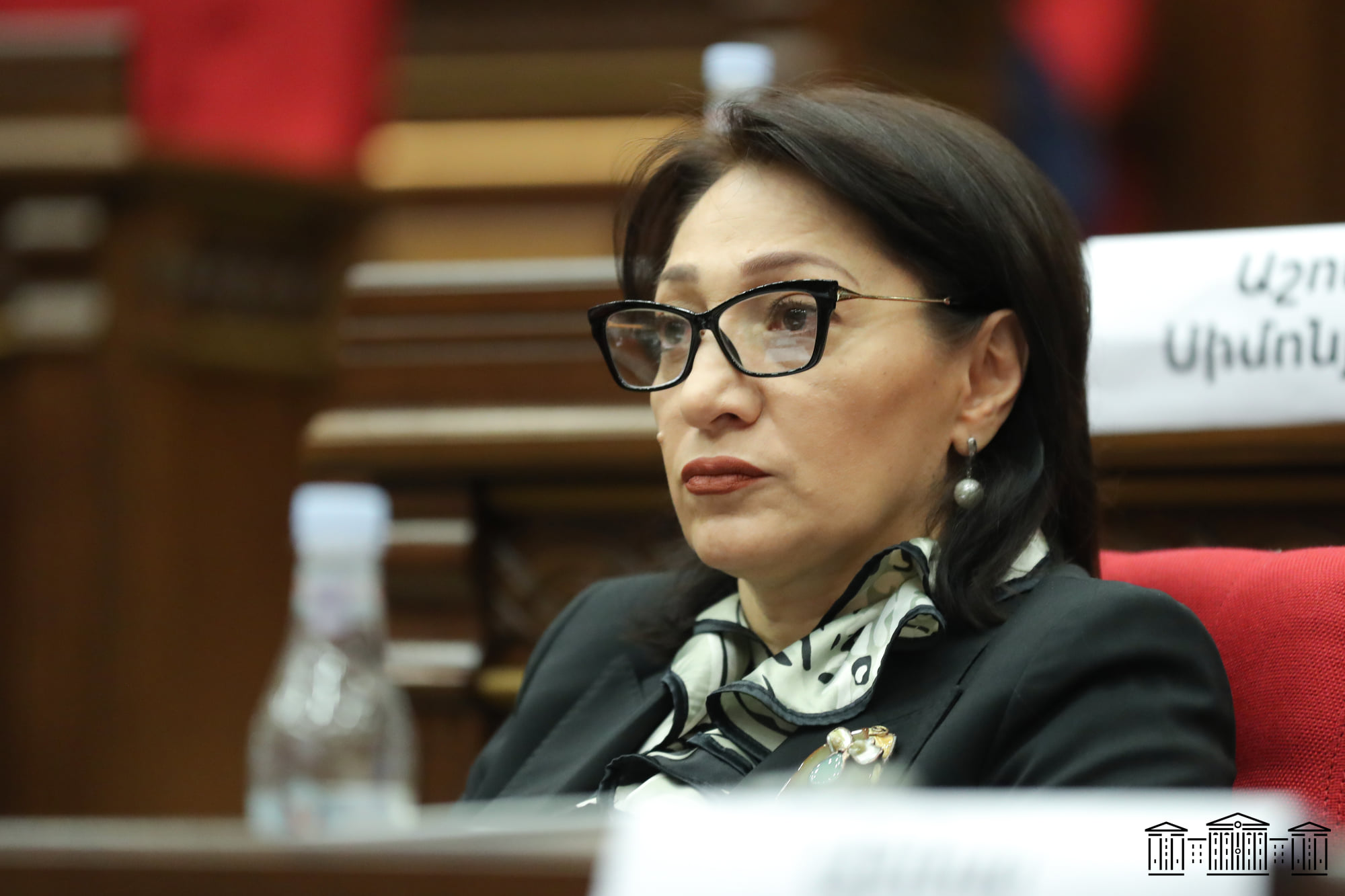 Ընտանեկան բռնության մասին օրինագիծը պատշաճ հանրային քննարկում չի անցել․ Գալստյան