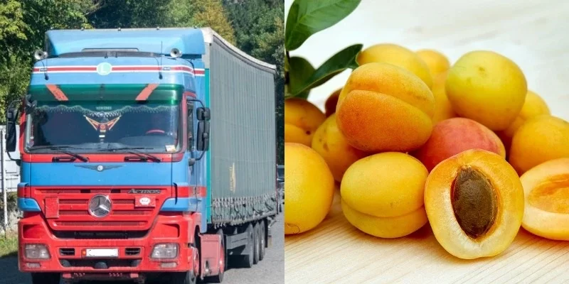 ՀՀ-ից Իսպանիա ծիրան դեռ չի արտահանվել. Էկոնոմիկայի փոխնախարարն անդրադարձել է համացանցի քննարկումներին