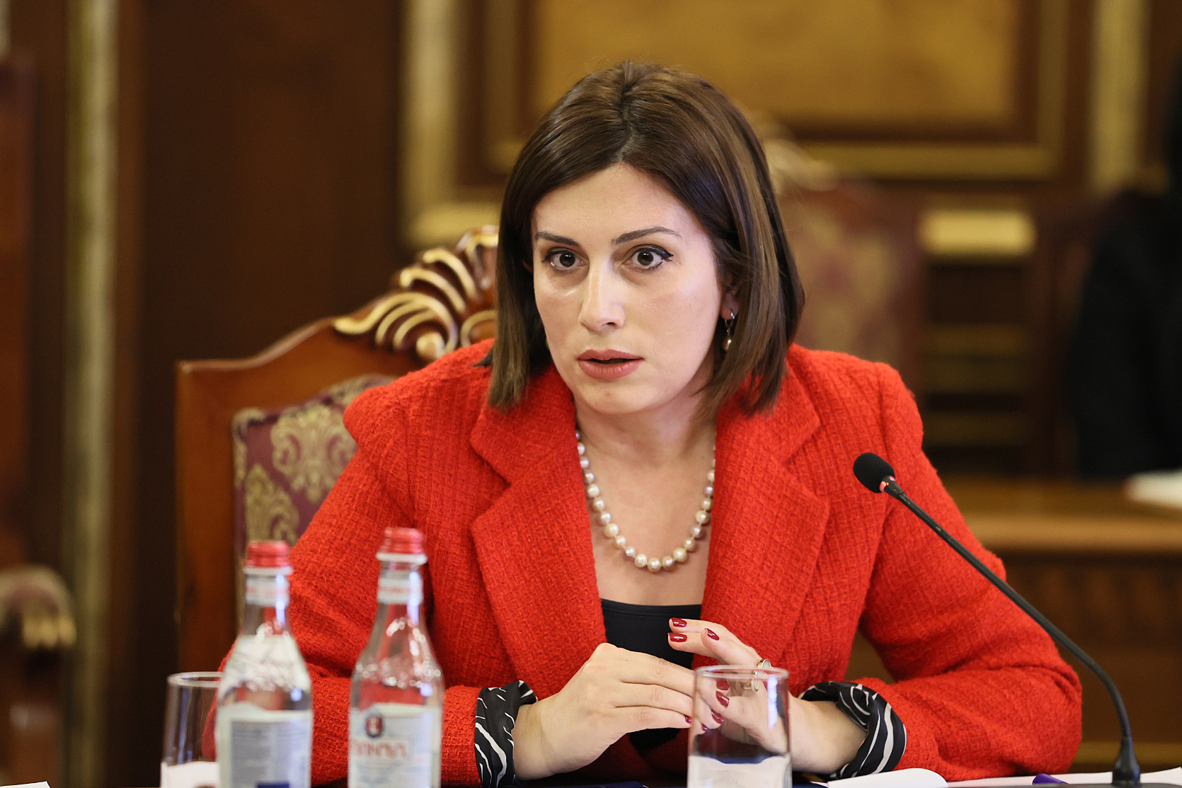 «Պետք է զգուշավոր լինենք». Ավանեսյանը՝ էբոլա վիրուսի հետ կապված «Զվարթնոցում» հսկողության մասին