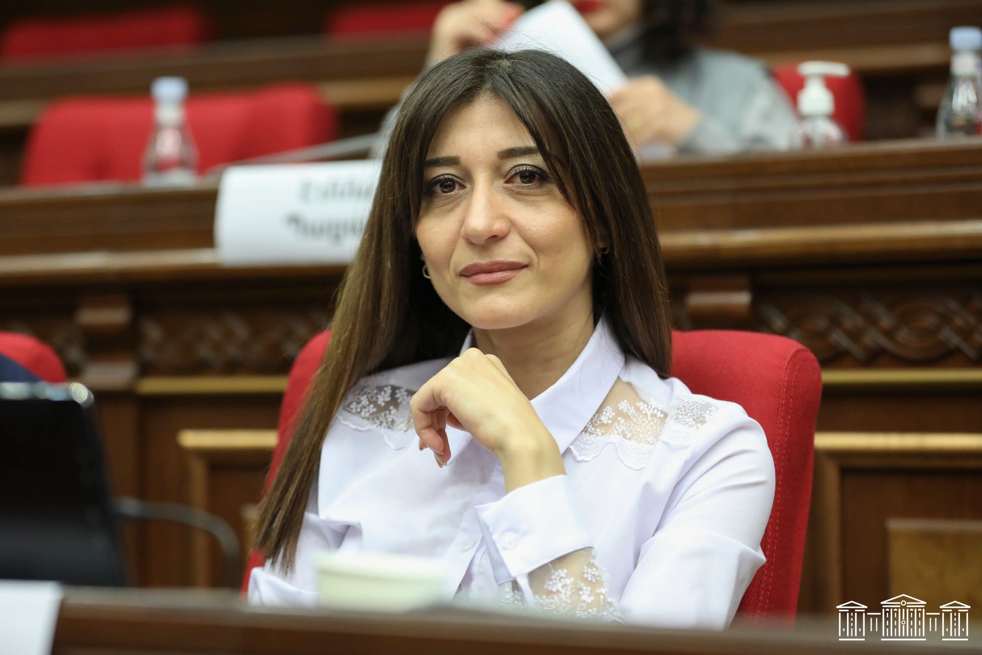 ԱԺ խորհրդի սպասվող նիստը որպես նվաճում ներկայացնելը էժան և պարզունակ մանիպուլյացիա է. Արփի Դավոյան