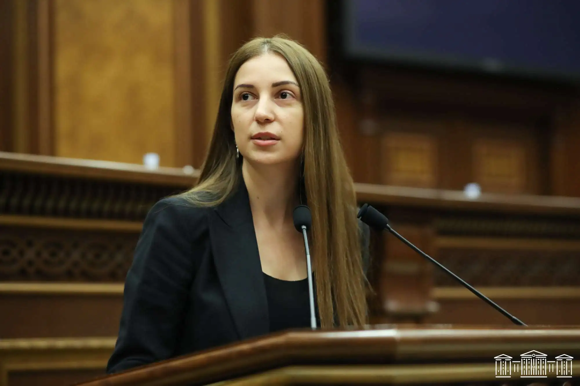 Թույլ չենք տալու, որ մեր ընտանեկան մոդելը ներկայացվի որպես բռնության մոդել. Աննա Գրիգորյան