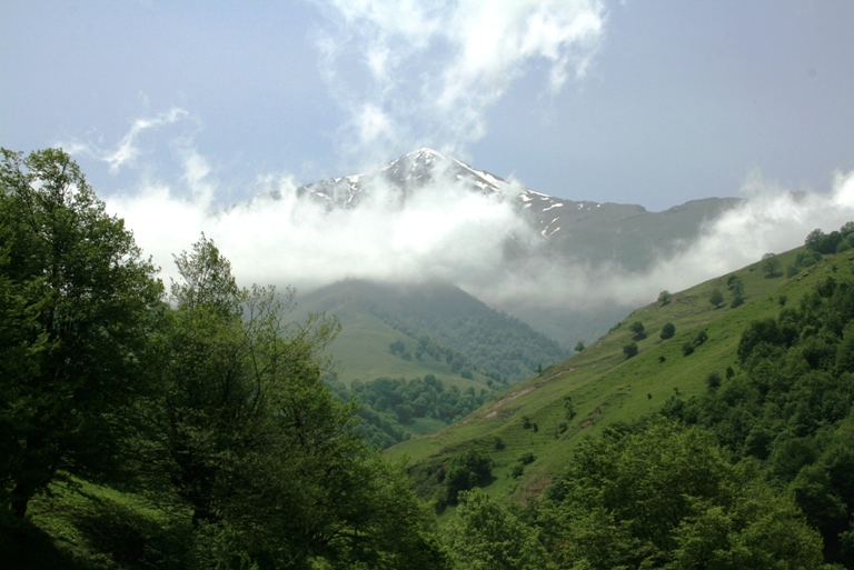 Արցախում ավելի քան 30 հեկտար տարածքով նոր անտառներ կհիմնվեն