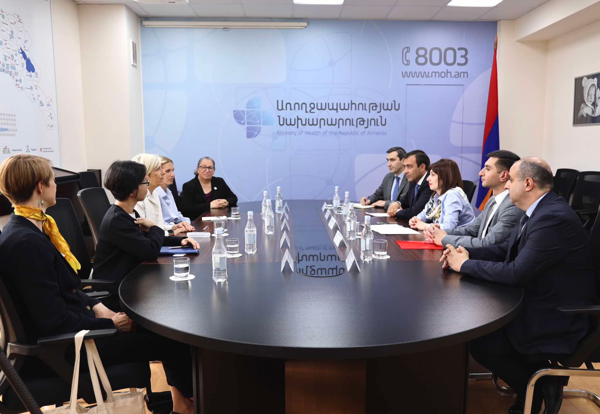 Քաղցկեղի դեմ պայքարը մեր առաջնահերթություններից է․ Ավանեսյանն ընդունել է «The Max Foundation» հիմնադրամի ներակայացուցիչներին