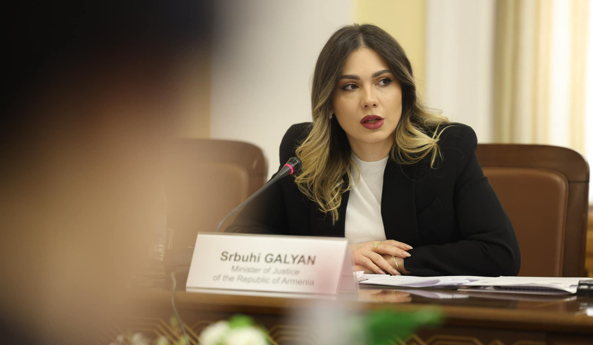 Արդարադատության նախարարը ՀԷՑ–ի պետականացման մեջ որևէ խնդիր չի տեսնում