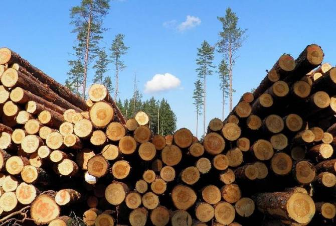 Արգելվել է փայտանյութի և դրանից պատրաստված որոշ ապրանքների արտահանումը ՀՀ-ից ԵԱՏՄ անդամ չհանդիսացող պետություններ