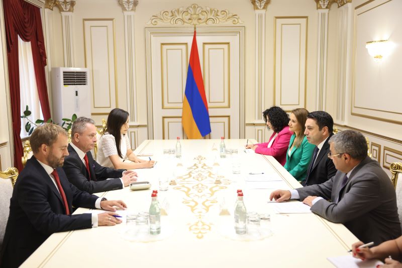 Ալեն Սիմոնյանը ՀՀ-ում Լեհաստանի նորանշանակ դեսպանի հետ քննարկել է տարածաշրջանում անվտանգային մարտահրավերները